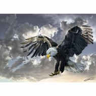  Siyah Beyaz Kartal 500 Parça Kutu Puzzle Eğitici Oyuncak